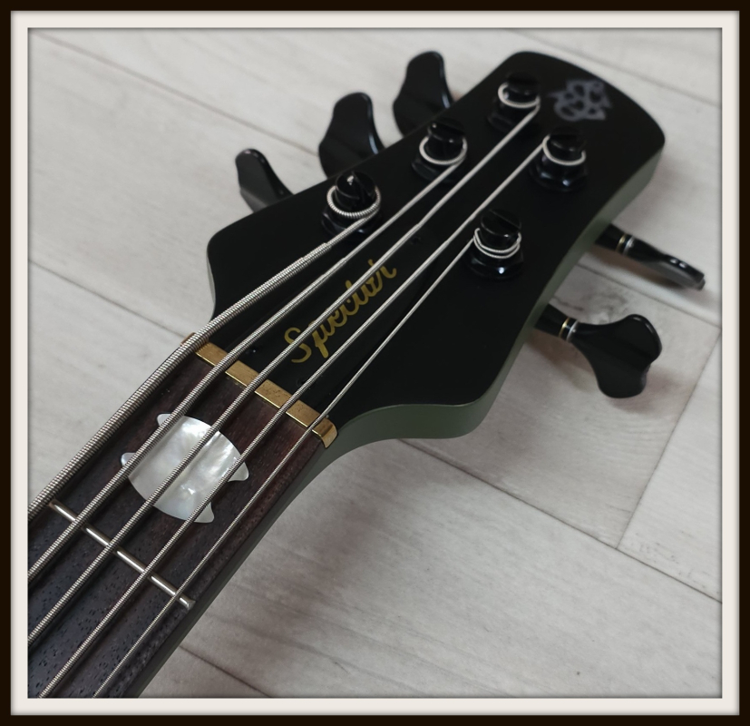Spector Euro 5 Classic, Custom Color Olive Green Matte